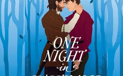 Review: One Night in Hartswood